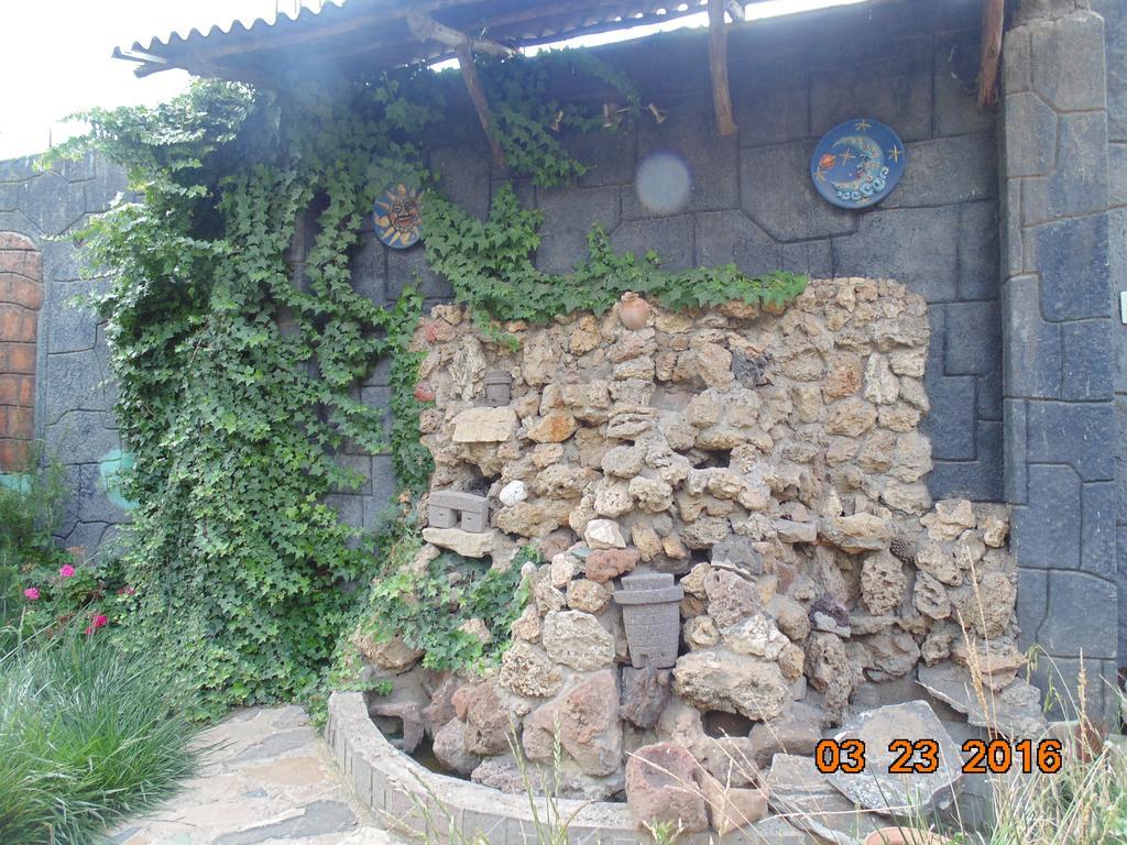 Pacha Confort Puno Buitenkant foto